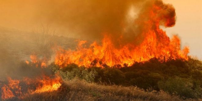 Ρόδος:-Τραγωδία-με-τον-εθελοντή-πυροσβέστη-που-έφυγε-από-τη-ζωή-–-Θρίλερ-με-τον-θάνατο-του