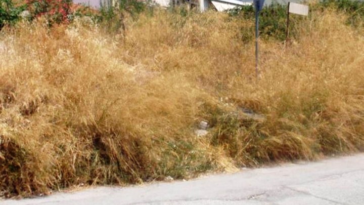 Τέλος-χρόνου-για-τα-ακαθάριστα-Οικόπεδα-–-Πώς-θα-μπορέσετε-να…